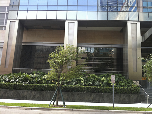 Colums Clarings Colums Clarings